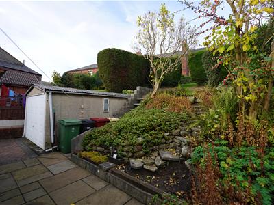 Picture 10